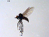  ( - 10PROBE-08672)  @13 [ ] CreativeCommons - Attribution (2011) CBG Photography Group Centre for Biodiversity Genomics