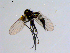  ( - 10PROBE-08682)  @13 [ ] CreativeCommons - Attribution (2011) CBG Photography Group Centre for Biodiversity Genomics
