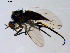  ( - 10PROBE-08716)  @13 [ ] CreativeCommons - Attribution (2011) CBG Photography Group Centre for Biodiversity Genomics