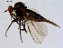  ( - 10PROBE-08722)  @13 [ ] CreativeCommons - Attribution (2011) CBG Photography Group Centre for Biodiversity Genomics