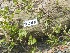 ( - TW019559)  @11 [ ] Copyright (2021) Unspecified Forestry and Forest Products Research Institute
