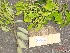  ( - TW019662)  @11 [ ] Copyright (2021) Unspecified Forestry and Forest Products Research Institute