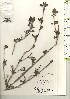  ( - TW021004)  @11 [ ] Copyright (2021) Unspecified Forestry and Forest Products Research Institute