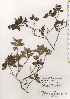  ( - TW021355)  @11 [ ] Copyright (2021) Unspecified Forestry and Forest Products Research Institute