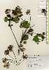  ( - TW023320)  @11 [ ] Copyright (2021) Unspecified Forestry and Forest Products Research Institute