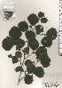  ( - TW024433)  @11 [ ] Copyright (2021) Unspecified Forestry and Forest Products Research Institute