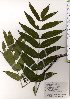  ( - TW025573)  @11 [ ] Copyright (2021) Unspecified Forestry and Forest Products Research Institute