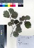  ( - TD082008)  @11 [ ] Copyright (2020) Unspecified Forestry and Forest Products Research Institute