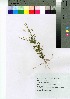  ( - oOGA0036)  @11 [ ] Copyright (2021) Unspecified Forestry and Forest Products Research Institute