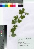  ( - SKSET006)  @11 [ ] Copyright (2021) Unspecified Forestry and Forest Products Research Institute