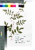  ( - takagi048)  @11 [ ] Copyright (2020) Unspecified Forestry and Forest Products Research Institute