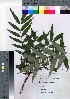  ( - TSG_39)  @11 [ ] Copyright (2021) Unspecified Forestry and Forest Products Research Institute