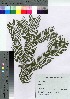  ( - TSG_68)  @11 [ ] Copyright (2021) Unspecified Forestry and Forest Products Research Institute