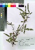  ( - HRS027)  @11 [ ] Copyright (2021) Unspecified Forestry and Forest Products Research Institute