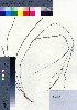  ( - oOGA0262)  @11 [ ] Copyright (2021) Unspecified Forestry and Forest Products Research Institute