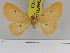  ( - Zwier DNA 1103)  @11 [ ] Copyright (2010) Jaap Zwier Research Collection of Jaap Zwier