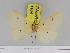  ( - Zwier DNA 1104)  @11 [ ] Copyright (2010) Jaap Zwier Research Collection of Jaap Zwier