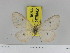 ( - Zwier DNA 1106)  @11 [ ] Copyright (2010) Jaap Zwier Research Collection of Jaap Zwier
