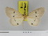  ( - Zwier DNA 1118)  @11 [ ] Copyright (2010) Jaap Zwier Research Collection of Jaap Zwier