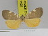  ( - Zwier DNA 1122)  @13 [ ] Copyright (2010) Jaap Zwier Research Collection of Jaap Zwier