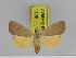  ( - Zwier DNA 1126)  @11 [ ] Copyright (2010) Jaap Zwier Research Collection of Jaap Zwier