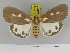  ( - Zwier DNA 1147)  @14 [ ] Copyright (2010) Jaap Zwier Research Collection of Jaap Zwier
