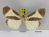  ( - Zwier DNA 1154)  @11 [ ] Copyright (2010) Jaap Zwier Research Collection of Jaap Zwier