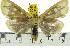  ( - ZWIER DNA 0506)  @14 [ ] Copyright (2010) Unspecified Research Collection of Jaap Zwier