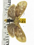  ( - ZWIER DNA 0508)  @13 [ ] Copyright (2010) Unspecified Research Collection of Jaap Zwier