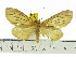  ( - ZWIER DNA 0517)  @15 [ ] Copyright (2010) Unspecified Research Collection of Jaap Zwier