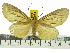  ( - ZWIER DNA 0518)  @15 [ ] Copyright (2010) Unspecified Research Collection of Jaap Zwier