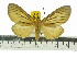  ( - ZWIER DNA 0519)  @11 [ ] Copyright (2010) Unspecified Research Collection of Jaap Zwier