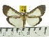  ( - ZWIER DNA 0530)  @11 [ ] Copyright (2010) Unspecified Research Collection of Jaap Zwier