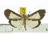  ( - ZWIER DNA 0531)  @11 [ ] Copyright (2010) Unspecified Research Collection of Jaap Zwier
