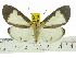  ( - ZWIER DNA 0533)  @11 [ ] Copyright (2010) Unspecified Research Collection of Jaap Zwier