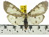  ( - ZWIER DNA 0543)  @13 [ ] Copyright (2010) Unspecified Research Collection of Jaap Zwier