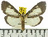  ( - ZWIER DNA 0567)  @14 [ ] Copyright (2010) Unspecified Research Collection of Jaap Zwier