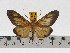  ( - ZWIER DNA 0605)  @13 [ ] Copyright (2010) Unspecified Research Collection of Jaap Zwier