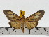  ( - ZWIER DNA 0606)  @12 [ ] Copyright (2010) Unspecified Research Collection of Jaap Zwier