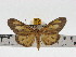  ( - ZWIER DNA 0607)  @12 [ ] Copyright (2010) Unspecified Research Collection of Jaap Zwier