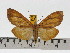  ( - ZWIER DNA 0608)  @13 [ ] Copyright (2010) Unspecified Research Collection of Jaap Zwier
