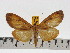  ( - ZWIER DNA 0609)  @13 [ ] Copyright (2010) Unspecified Research Collection of Jaap Zwier