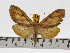  ( - ZWIER DNA 0610)  @13 [ ] Copyright (2010) Unspecified Research Collection of Jaap Zwier