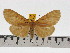  ( - ZWIER DNA 0611)  @11 [ ] Copyright (2010) Unspecified Research Collection of Jaap Zwier