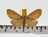  ( - ZWIER DNA 0612)  @11 [ ] Copyright (2010) Unspecified Research Collection of Jaap Zwier