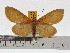  ( - ZWIER DNA 0613)  @11 [ ] Copyright (2010) Unspecified Research Collection of Jaap Zwier