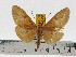  ( - ZWIER DNA 0614)  @11 [ ] Copyright (2010) Unspecified Research Collection of Jaap Zwier
