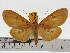  ( - ZWIER DNA 0615)  @11 [ ] Copyright (2010) Unspecified Research Collection of Jaap Zwier
