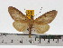  ( - ZWIER DNA 0616)  @12 [ ] Copyright (2010) Unspecified Research Collection of Jaap Zwier