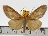  ( - ZWIER DNA 0617)  @13 [ ] Copyright (2010) Unspecified Research Collection of Jaap Zwier